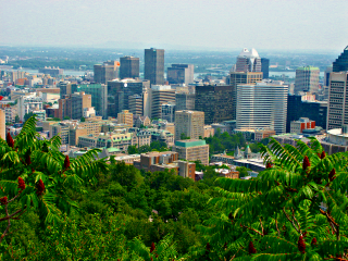 [View from Mont 
Royal on Montreal after working on the photo with Gimp]