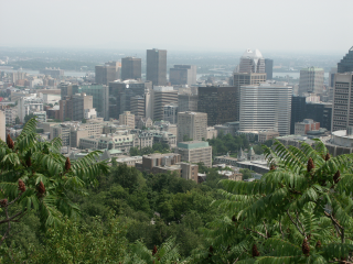 [Vue sur Mont Royal à Montréal]