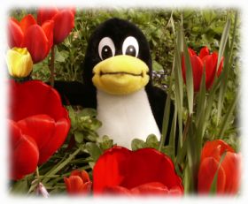 [tux in garden]